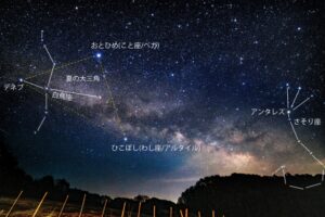 中学受験は遊びながら学ぼう！