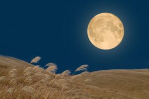 「やめたい」と言い出した夜のこと——受験を経験したお母様と塾長の対談